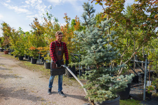 Best Tree and Shrub Care  in La Porte, IN